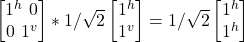 \begin {bmatrix} 1^h \ 0 \\ 0\ 1^v\end{bmatrix} * 1/\sqrt{2}\begin {bmatrix} 1^h \\ 1^v \end{bmatrix} = 1/\sqrt{2}\begin {bmatrix} 1^h \\ 1^h \end{bmatrix}