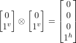 \begin {bmatrix} 0 \\ 1^v \end{bmatrix}\otimes \begin {bmatrix} 0 \\ 1^v\end{bmatrix} = \begin {bmatrix} 0\\ 0 \\ 0\\ 1^h \end{bmatrix}