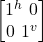 \begin {bmatrix} 1^h \   0 \\  0\  1^v\end{bmatrix}