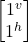 \begin {bmatrix} 1^v \\ 1^h \end{bmatrix}